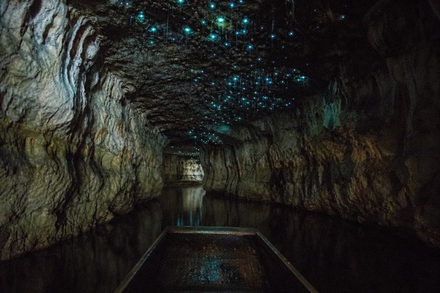 A flat-bottomed boat drifting on the underground river beneath the glowworms in the Waitomo Glowworm Caves